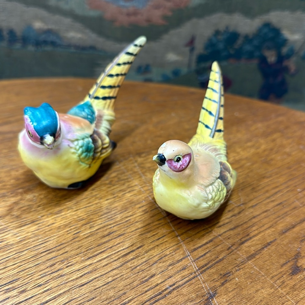 Vintage pair of pheasant, salt, and pepper, shakers, collectible